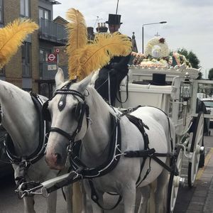 Meet your Posher, Weslyn